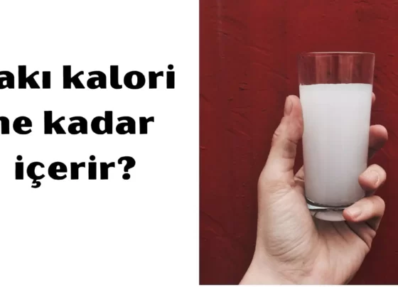 rakı kalori